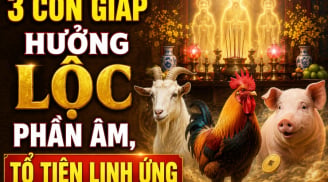 3 con giáp hưởng Lộc phần Âm, Tổ tiên linh ứng