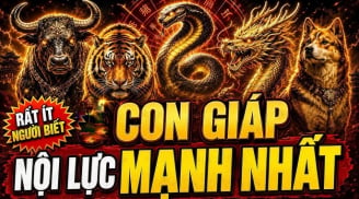 4 con giáp nhìn Liễu Yếu Đào Tơ nhưng nội lực cực mạnh
