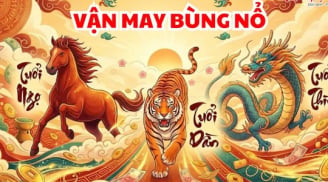 3 con giáp thoát nạn đi lên, số 1 kiếm Tiền nhanh nhất