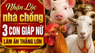 Nhận Lộc nhà chồng 3 con giáp nữ làm ăn thắng lớn