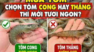 Mua tôm chọn tôm cong hay thẳng thì mới tươi ngon?
