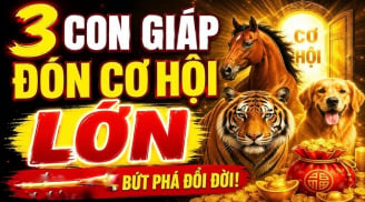3 con giáp Hiếu Thuận Trời thương, Lộc về không ngớt