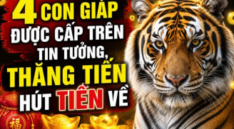 4 con giáp được cấp trên tin tưởng, thăng tiến hút Tiền về