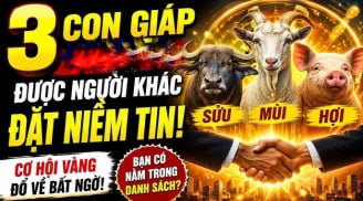 Hoạn nạn qua rồi: 3 con giáp đón nguồn Lộc Lá vô hạn sau 5/7