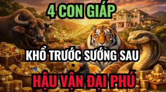 4 con giáp sinh ra Ngậm Thìa Vàng, càng về già càng sướng