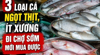 3 loại cá ngọt thịt, ít xương đi chợ sớm mới mua được