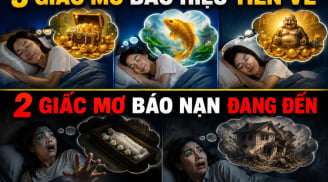 3 giấc mơ báo hiệu Tiền về, 2 giấc mơ báo nạn đang đến