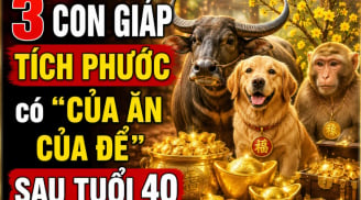 3 con giáp Tích Phước, có 'của ăn của để' sau tuổi 40