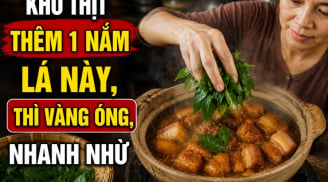 Kho thịt thêm 1 nắm lá này, thì vàng óng, nhanh nhừ