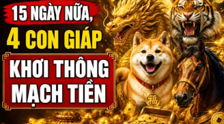 15 ngày nữa, 4 con giáp Khơi Thông Mạch Tiền