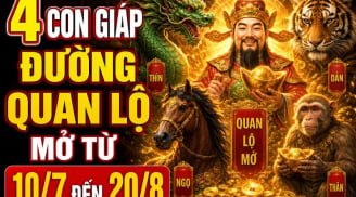 4 con giáp đường Quan Lộ mở từ 10/7 đến 20/8