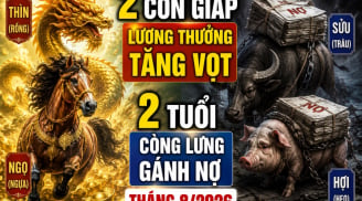 2 con giáp lương thưởng tăng vọt, 2 tuổi còng lưng gánh nợ tháng 8/2026