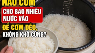 Nấu cơm cho bao nhiêu nước vào để cơm dẻo, không khô cứng?