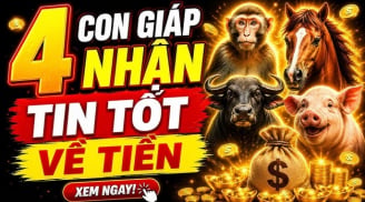 4 con giáp Lộc Lá đầu tuần, nhận thưởng to