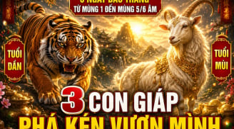 5 ngày đầu tháng từ mùng 1 đến mùng 5/6 Âm: 3 con giáp Phá Kén vươn mình