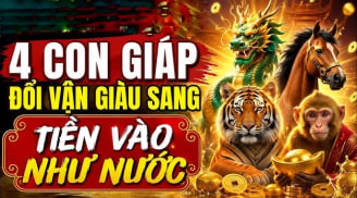4 con giáp Lương Thưởng rủ nhau tăng đều từ tháng 8/2026