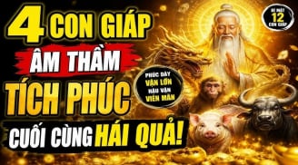 Cửa Phật che chở, 3 tuổi hoạn nạn qua nhanh trong tháng 7/2026