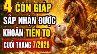 4 con giáp sắp nhận được khoản Tiền To cuối tháng 7/2026