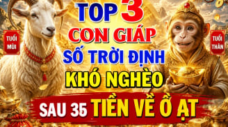 Top 3 con giáp số Trời định khó nghèo, sau 35 Tiền về ồ ạt