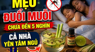 Mẹo đuổi muỗi chưa đến 5 nghìn, cả nhà yên tâm ngủ