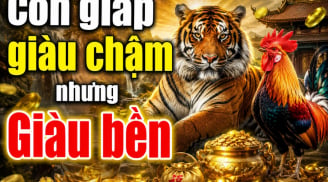 Năng nhặt chặt bị: 4 tuổi chịu khó cày cuốc, giàu chậm nhưng bền