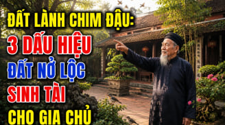 Đất lành chim đậu: 3 dấu hiệu đất Nở Lộc sinh tài cho gia chủ