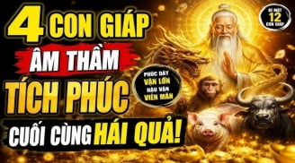 Thứ Năm, Sáu, Bảy, Chủ Nhật: 4 tuổi nhận hết Tiền Lộc dồn về