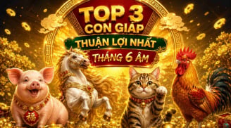 Khơi thông tài lộc, 3 con giáp tìm ra Mạch Tiền từ 1/8 đến 5/8