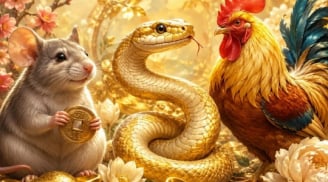 5 ngày liên tục (4/8 đến 8/8): 3 tuổi trả sạch nợ đời, bật dậy giàu sang