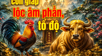 Lộc Âm phần mở, 3 con giáp Tổ Tiên độ giàu nhanh