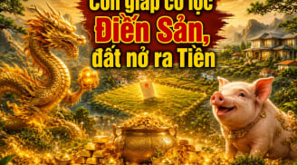 Có Lộc Điền Sản, 4 con giáp đất nở ra Tiền, ở lâu càng vượng