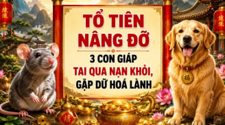 Tổ Tiên Nâng Đỡ, 3 con giáp tai qua nạn khỏi, gặp dữ hoá lành
