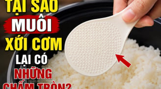 Tại sao muôi xới cơm lại có những chấm tròn?