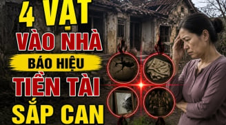 4 vật vào nhà báo hiệu Tiền Tài sắp cạn