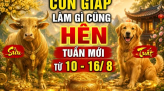 Tuần mới (10-16/8), 4 con giáp làm gì cũng Hên kiếm tiền phơi phới