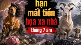 3 con giáp gặp hạn mất Tiền, số 1 cẩn thận hoạ xa nhà