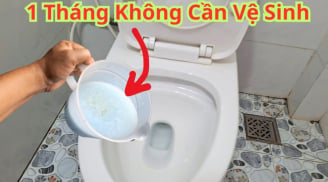 Nhà tắm cứ để 1 thứ: Hết hôi, không sợ vi khuẩn