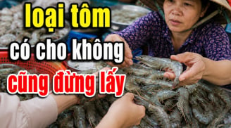 Dân biển tiết lộ: 5 loại tôm có cho không cũng đừng lấy