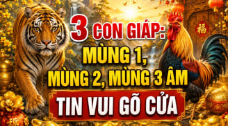 3 con giáp: Mùng 1, mùng 2, mùng 3 Âm tin vui gõ cửa