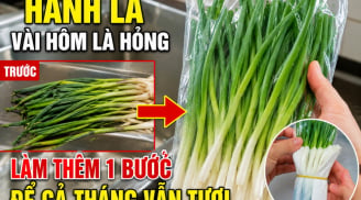 Hành lá vài hôm là hỏng, làm thêm 1 bước để cả tháng vẫn tươi