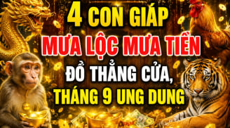 4 con giáp mưa lộc mưa Tiền đổ thẳng cửa, tháng 9 ung dung