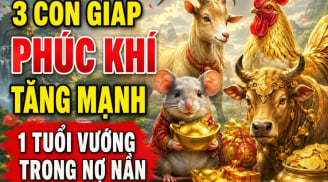 3 con giáp Phúc Khí tăng mạnh, 1 tuổi vướng trong nợ nần