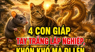 4 con giáp tay trắng lập nghiệp, khốn khó mà đi lên