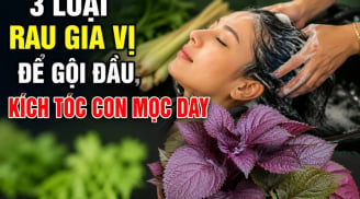 3 loại rau gia vị để gội đầu, kích tóc con mọc dày