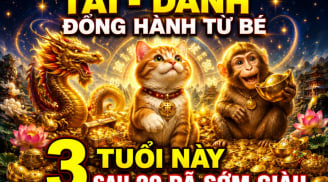 Tài - Danh đồng hành từ bé, 3 tuổi này sau 20 đã sớm giàu