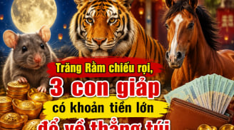 Trăng Rằm chiếu rọi, 3 con giáp có khoản tiền lớn đổ về thẳng túi