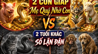 2 con giáp Mẹ Quý Nhờ Con, 2 tuổi khác số lận đận
