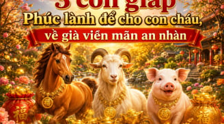 3 con giáp Phúc lành để cho con cháu, về già viên mãn an nhàn