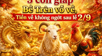 3 con giáp Bề Trên vỗ về, Tiền về không ngớt sau lễ 2/9