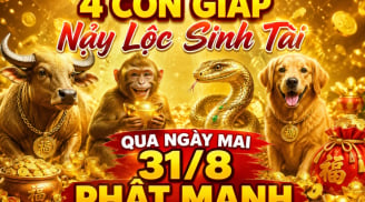4 con giáp Nảy Lộc Sinh Tài, qua ngày mai 31/8 phất mạnh